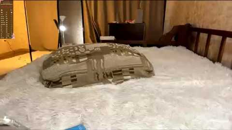 dreamyolivia free recording from 2025-12-31 00:09:00