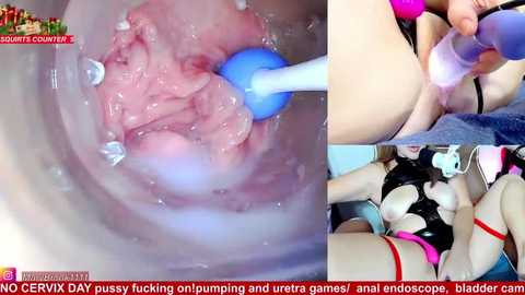 marybrook1 free recording from 2025-12-31 00:40:00