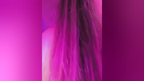 mona_plus free recording from 2025-12-31 00:09:00