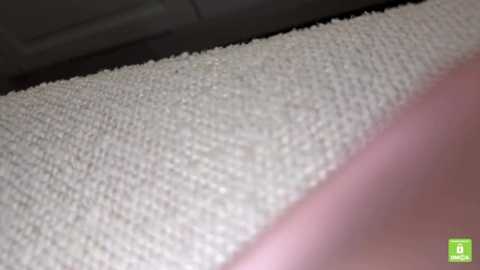 oypo free recording from 2025-12-31 00:40:00