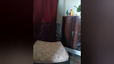 sneha_gril free recording from 2025-12-31 00:01:00