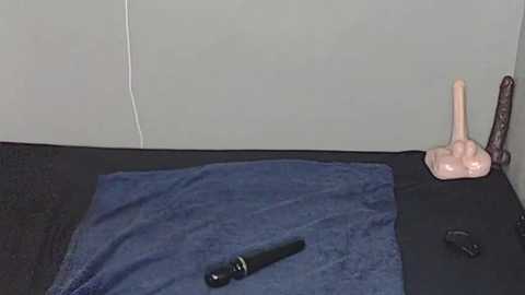 trishahxo free recording from 2025-12-31 00:10:00