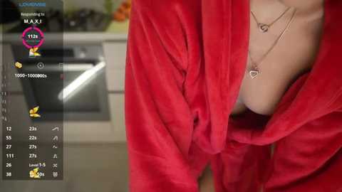 vassiilisa free recording from 2025-12-31 00:40:00