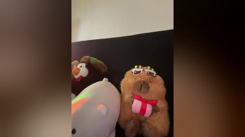 aly_golden_ free recording from 2026-01-01 06:14:00