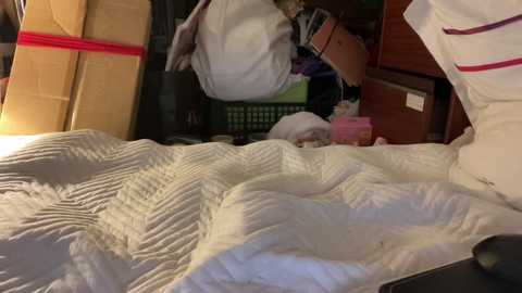 18yoteenvirgin free recording from 2026-01-02 00:20:00