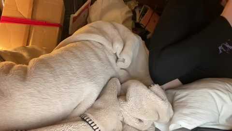 18yoteenvirgin free recording from 2026-01-02 00:20:00