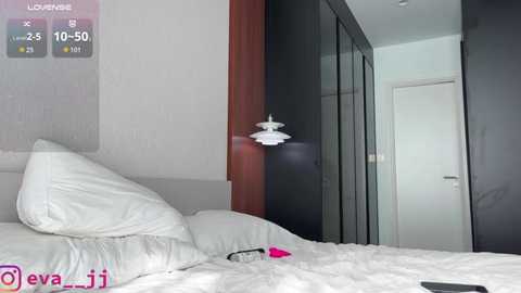 eva_jj free recording from 2026-01-02 00:04:00