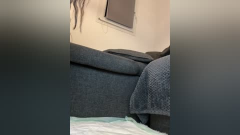 Video of a dark gray couch with a textured blanket draped over it. The background features a beige wall with a small window with a partially open blind.