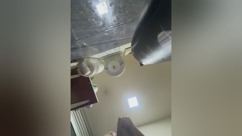 roouse free recording from 2026-01-02 00:04:00