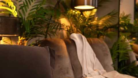 Video of a cozy, dimly-lit living room with a beige sofa draped in a white blanket, surrounded by lush green plants under warm lighting, creating a serene, inviting atmosphere.