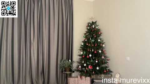 Video of a small Christmas tree adorned with red, white, and silver ornaments, standing against a beige wall with gray curtains. A potted plant and wrapped gift boxes are placed on a table in the foreground.