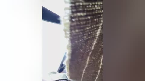 may_squirt free recording from 2026-01-03 00:24:00