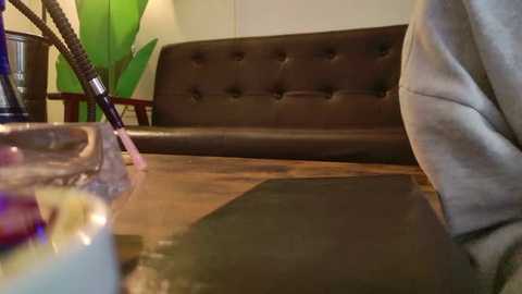 Media: Video of a dark brown tufted leather couch in a cozy room with a wooden table, a green plant, and a person's legs in light gray pants.