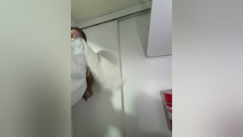 A video captures a white cat perched on a white shelf inside a white-walled room. The cat's long tail dangles down. In the background, a red container and a white cabinet are visible.