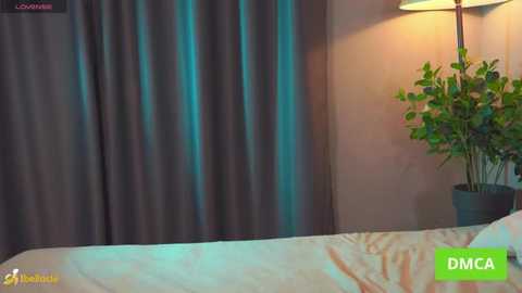 bellacle free recording from 2026-01-05 00:02:00