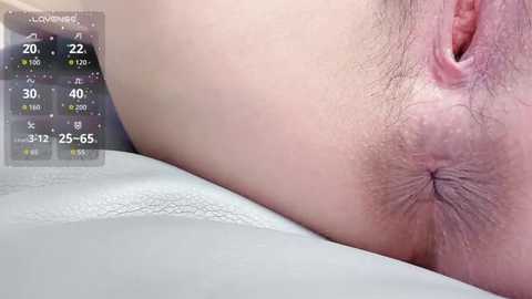 h_2005 free recording from 2026-01-05 00:02:00