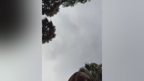 sammy_garciaa1 free recording from 2026-01-05 00:02:00