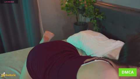 bellacle free recording from 2026-01-05 00:18:00