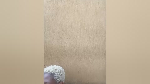 broan_me free recording from 2026-01-05 00:18:00