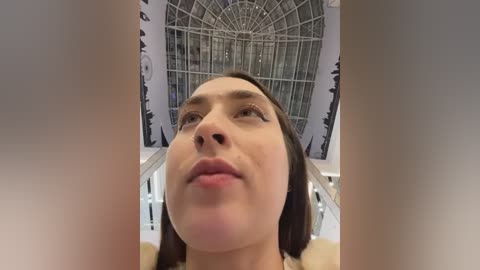 Media: Video of a young woman with light skin and dark hair, looking up at a large, intricate, metal birdcage structure in an indoor setting. The background shows a modern, possibly industrial, environment with white walls and dark accents.
