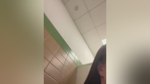 Media: A blurry video of a tiled restroom ceiling with beige and green tiles, featuring a dimly lit, partially visible person in the lower right corner.