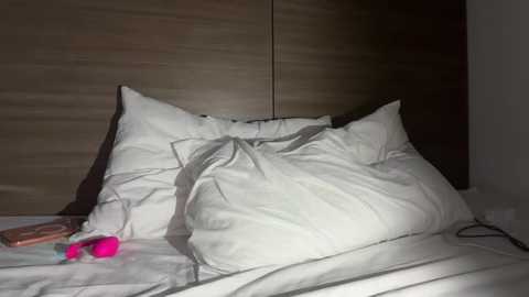 liiz_01 free recording from 2026-01-05 00:18:00