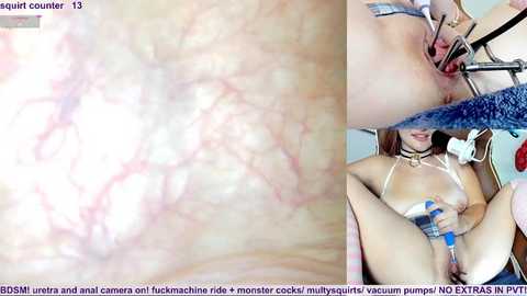 marybrook1 free recording from 