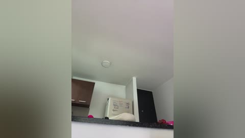 Media: Video of a cluttered kitchen with a beige refrigerator, brown cabinets, and a white microwave. The image is slightly blurry, capturing a casual, messy atmosphere with a soft, muted color palette.