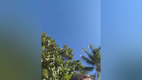 sweetsirenn free recording from 2026-01-06 05:07:00