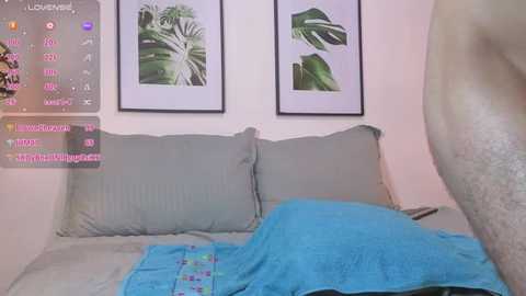 Media: A video of a nude man standing beside a gray sofa with a blue blanket. The background features framed plant posters and a digital screen displaying social media comments.
