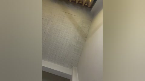 aly_golden_ free recording from 2026-01-06 00:25:00