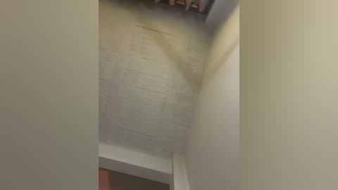 aly_golden_ free recording from 2026-01-06 00:25:00