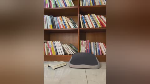 Video of a cozy, well-lit room with a wooden bookshelf filled with colorful books and a black cushion on a marble floor. An open book rests nearby.