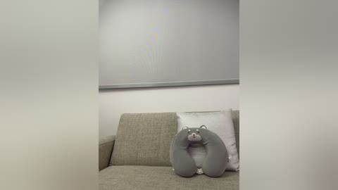 Video of a minimalist living room featuring a gray couch with a decorative pillow shaped like a bear, against a white wall with a horizontal window blind.