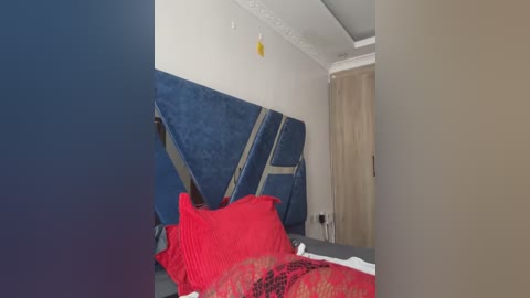 Video of a modern bedroom with a dark blue, geometric-patterned headboard, a red bedspread, and a beige wooden door.