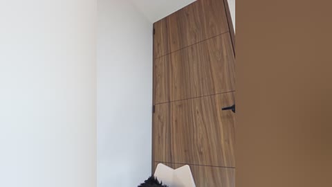 Video of a modern bedroom with a large wooden sliding door and a minimalist white bed with white and black pillows. The room has a sleek, contemporary design with a neutral color palette.