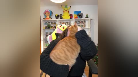 A video of a woman in a black sweater holding a brown and orange tabby cat. Pikachu and other Pok\u00e9mon plush toys are on shelves in the background.
