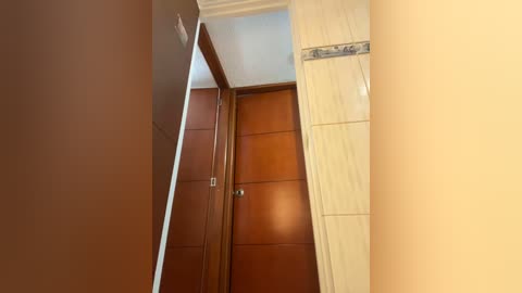 Video of a narrow, beige-walled corridor with a brown wooden door and a tiled wall. The ceiling is white. The image is taken from a low angle, emphasizing the vertical space.