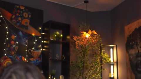 Video of a warmly lit, cozy room with a dark wall, colorful artwork, string lights, a hanging plant, and a person's head visible in the foreground.