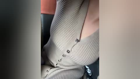 Media: Video of a person wearing a ribbed, beige, button-up sweater with black buttons, seated in a car with a black interior. The focus is on the sweater's texture and the person's torso, with a blurred background.