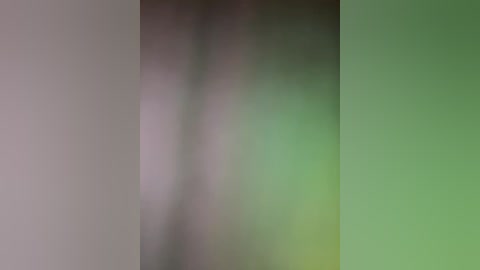 Media: This is a blurred, abstract digital image with a gradient of pastel colors\u2014light pink, pale green, and soft beige\u2014creating a smooth, seamless transition. The image lacks distinct shapes or identifiable objects, focusing on a serene, dreamy aesthetic.