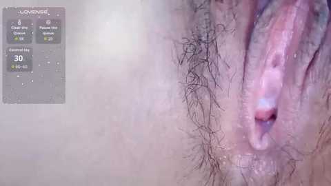 h_2005 free recording from 2026-01-09 00:39:00