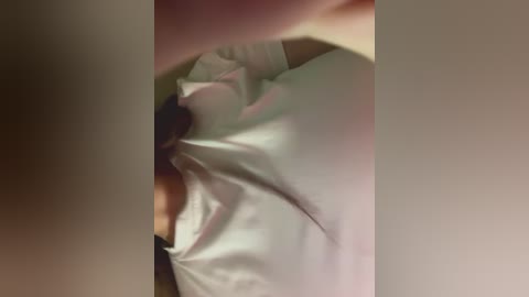 hoot_anime_ free recording from 2026-01-08 00:13:00