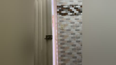 Video of a hallway with a partially open white door, revealing a tiled wall with beige, gray, and brown mosaic tiles. The door handle is metallic, and a light switch is visible on the right.