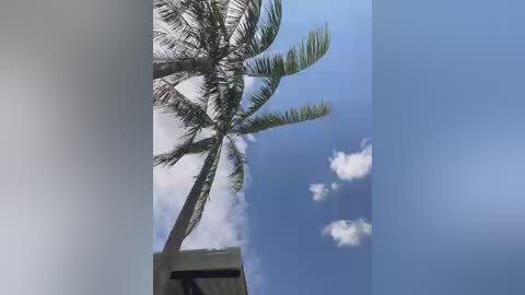 natalia_vidal free recording from 2026-01-08 00:25:00