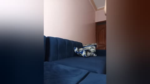 A video of a small, dimly lit room with a navy blue sofa and a cushion featuring a blue and white floral pattern. The walls are painted a soft pink, and a wooden door is partially visible in the background.