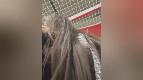 ttixmila free recording from 2026-01-09 00:39:00