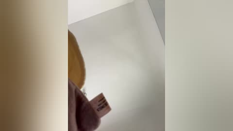 Video of a person holding a brown teddy bear against a white wall. The bear's soft, plush fur contrasts with the smooth, minimalist background. The image is slightly out of focus, emphasizing a casual, intimate moment.