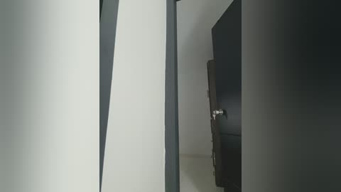 Video of a minimalist hallway with a white wall and a dark wooden door. The lighting is soft, creating a serene atmosphere. The floor is light gray, and the door handle is silver.