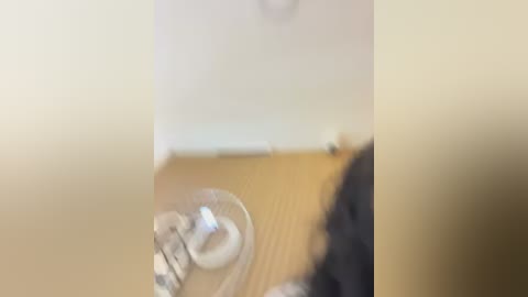 clarachanelricek free recording from 2026-01-10 00:16:00